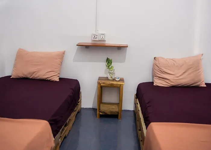 Sacred Lotus - Vegan Cafe X Hostel